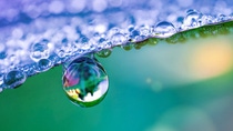 Little drop, big effect: At BASF Aroma Ingredients, we are passionate to support you with innovative flavor and fragrance ingredients. In everything we do, we ensure that each drop of our products is full of expertise, reliability, innovation and sustainability. Picture: Raindrops on plant leaf.  Little drop, big effect: At BASF Aroma Ingredients, we are passionate to support you with innovative flavor and fragrance ingredients. In everything we do, we ensure that each drop of our products is full of expertise, reliability, innovation and sustainability. Picture: Raindrops on plant leaf.